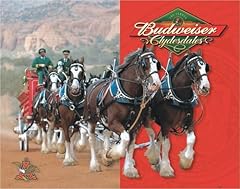 Desperate enterprises budweise for sale  Delivered anywhere in USA 