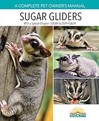 Sugar gliders usato  Spedito ovunque in Italia 