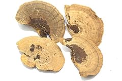 Dried mushroom inches for sale  Delivered anywhere in USA 