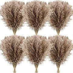 Janinka dried pampas for sale  Delivered anywhere in USA 