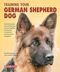 Training german shepherd for sale  Delivered anywhere in USA 