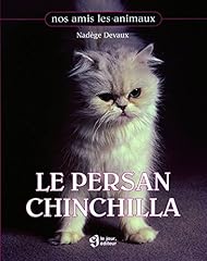 persan chinchilla blanc d'occasion  Livré partout en France