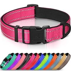 Joytale halsband hund gebraucht kaufen  Wird an jeden Ort in Deutschland