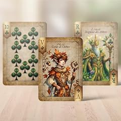Jeu cartes plastifiées d'occasion  Livré partout en France