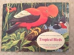 Tropical birds brooke for sale  Delivered anywhere in UK