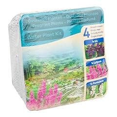 Moerings waterplants pond for sale  Delivered anywhere in UK