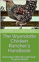 Wyandotte chicken rancher for sale  Delivered anywhere in USA 
