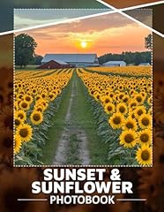 Sunset sunflower vibrant for sale  Delivered anywhere in USA 