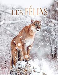 Félins d'occasion  Livré partout en France