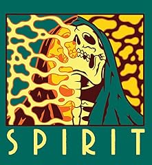 Spirit usato  Spedito ovunque in Italia 
