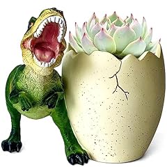 Flidrunest dinosaur succulent for sale  Delivered anywhere in USA 