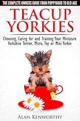 Teacup yorkies complete for sale  Delivered anywhere in UK