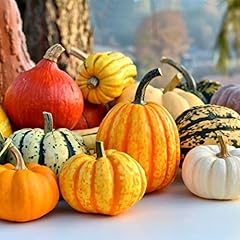 Mix gourds seeds for sale  Delivered anywhere in UK