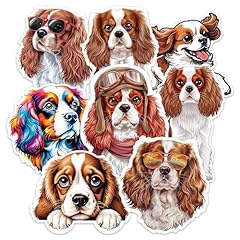 Cavalier king charles for sale  Delivered anywhere in USA 