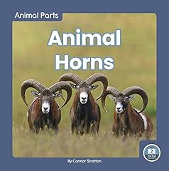 Animal horns for sale  Delivered anywhere in UK
