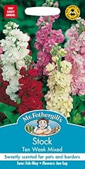Fothergill 22401 flower for sale  Delivered anywhere in UK