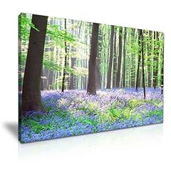 Bluebells nature bluebell for sale  Delivered anywhere in UK