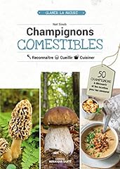 mosaique champignon d'occasion  Livré partout en France