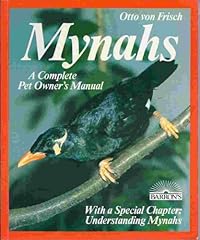 Mynahs everything purchase for sale  Delivered anywhere in USA 
