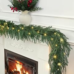Dapclca norfolk pine for sale  Delivered anywhere in USA 