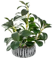 Alphaacc artificial plants for sale  Delivered anywhere in USA 
