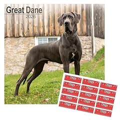 Calendrier dogue allemand d'occasion  Livré partout en Belgiqu