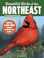 Beautiful birds northeast for sale  Delivered anywhere in USA 