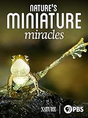Nature miniature miracles for sale  Delivered anywhere in USA 