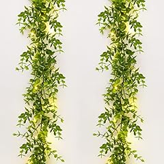 Dolicer packs eucalyptus for sale  Delivered anywhere in USA 