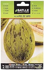 Semi batlle melone usato  Spedito ovunque in Italia 