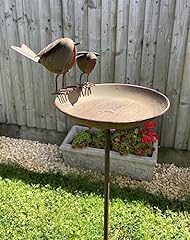 Duo robin bird for sale  Delivered anywhere in UK
