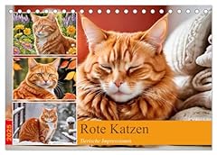 Rote katzen calvendo gebraucht kaufen  Wird an jeden Ort in Deutschland