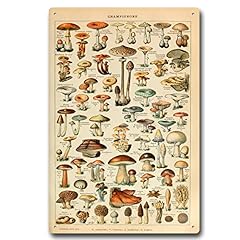 Vintage pilze metallschild gebraucht kaufen  Wird an jeden Ort in Deutschland