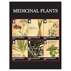 Montserrat medicinal plants for sale  Delivered anywhere in USA 