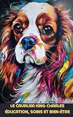 Cavalier king charles d'occasion  Livré partout en France