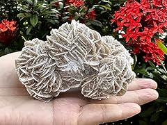 Gaf treasures raw for sale  Delivered anywhere in UK