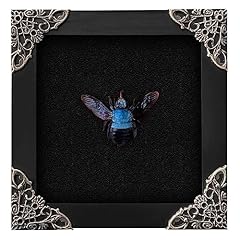 Vinatimes real framed for sale  Delivered anywhere in UK