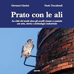 Prato con ali. usato  Spedito ovunque in Italia 