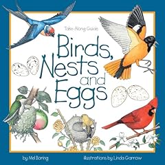 Birds nests eggs for sale  Delivered anywhere in UK