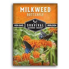 Butterfly milkweed seeds for sale  Delivered anywhere in USA 