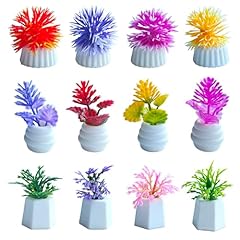 Miniature dollhouse plants for sale  Delivered anywhere in USA 