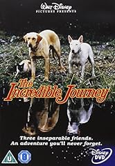 Disney incredible journey for sale  Delivered anywhere in UK
