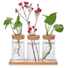 Yoyeah propagation station gebraucht kaufen  Wird an jeden Ort in Deutschland