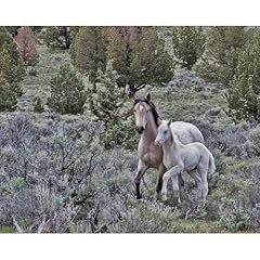 Artdirect palomino mare for sale  Delivered anywhere in USA 