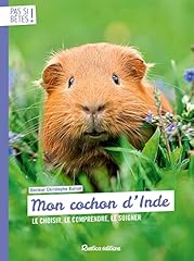 Cochon inde d'occasion  Livré partout en France