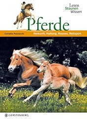 Pferde lesen staunen gebraucht kaufen  Wird an jeden Ort in Deutschland