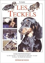 Teckels d'occasion  Livré partout en Belgiqu