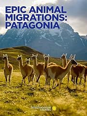 Epic animal migrations for sale  Delivered anywhere in USA 