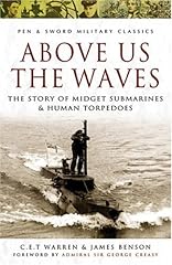 Above the waves usato  Spedito ovunque in Italia 