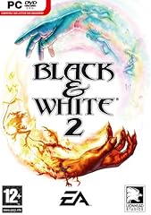 Black white windows usato  Spedito ovunque in Italia 